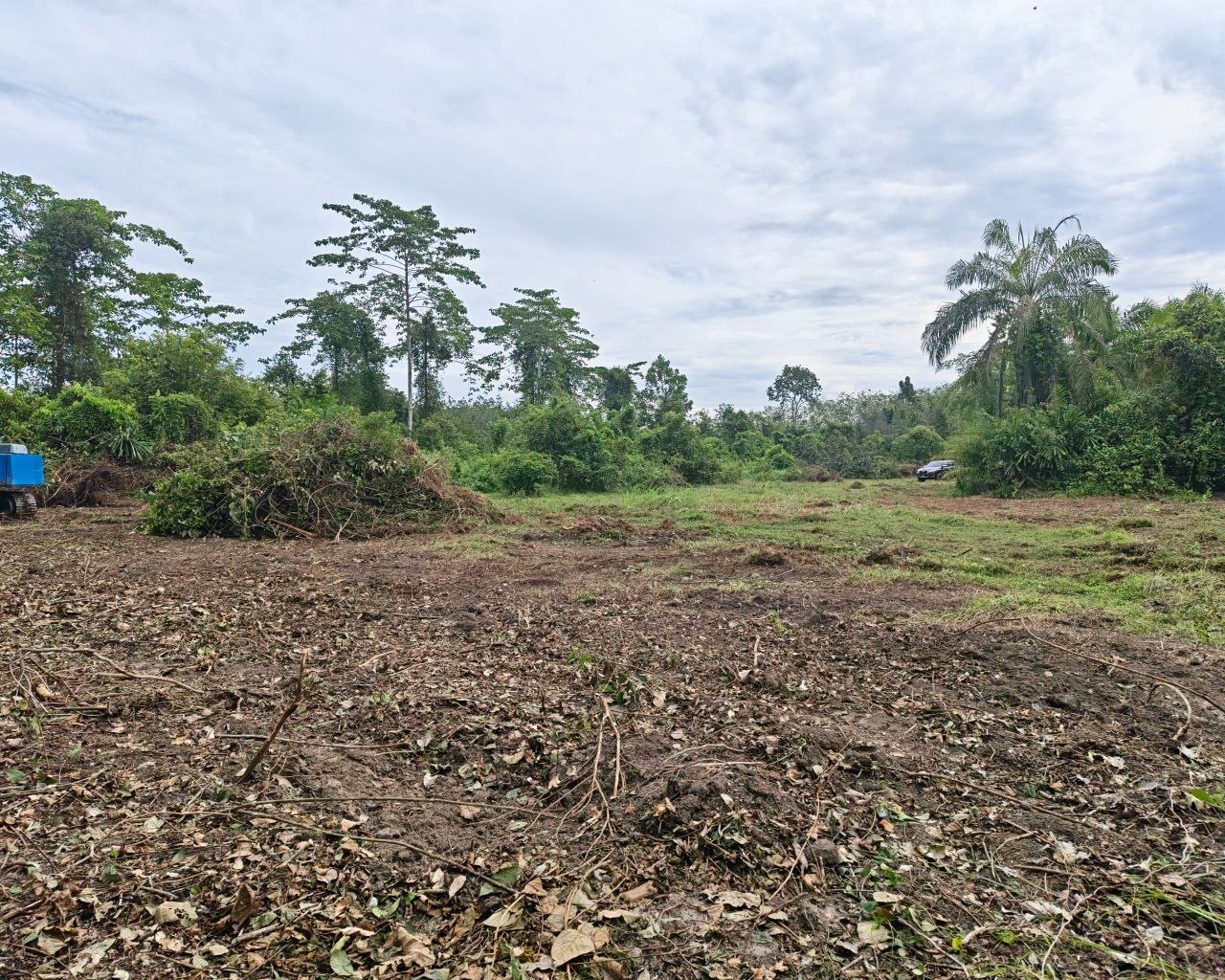 Tanah Pertanian untuk dijual area Kuala Pilah - photo 4
