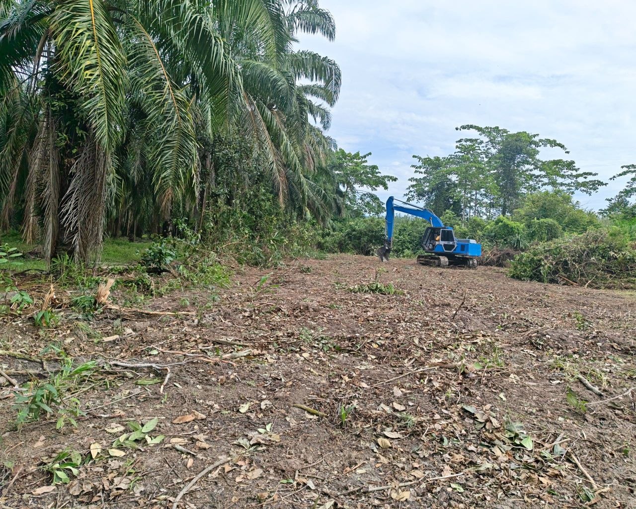 Tanah Pertanian untuk dijual area Kuala Pilah - photo 8