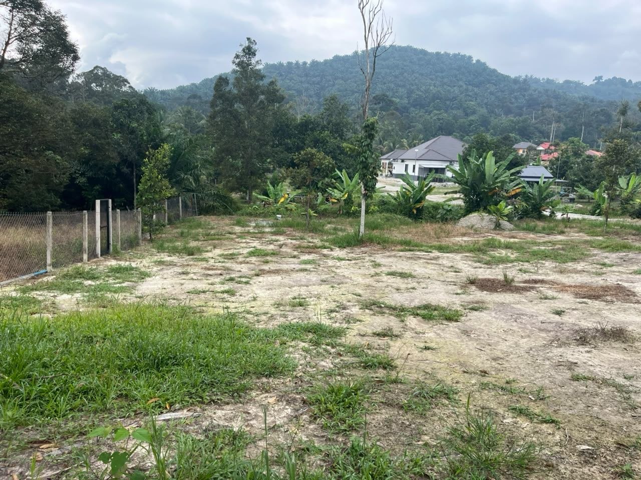 Dusun Untuk Dijual Area Lenggeng Seremban - photo 2