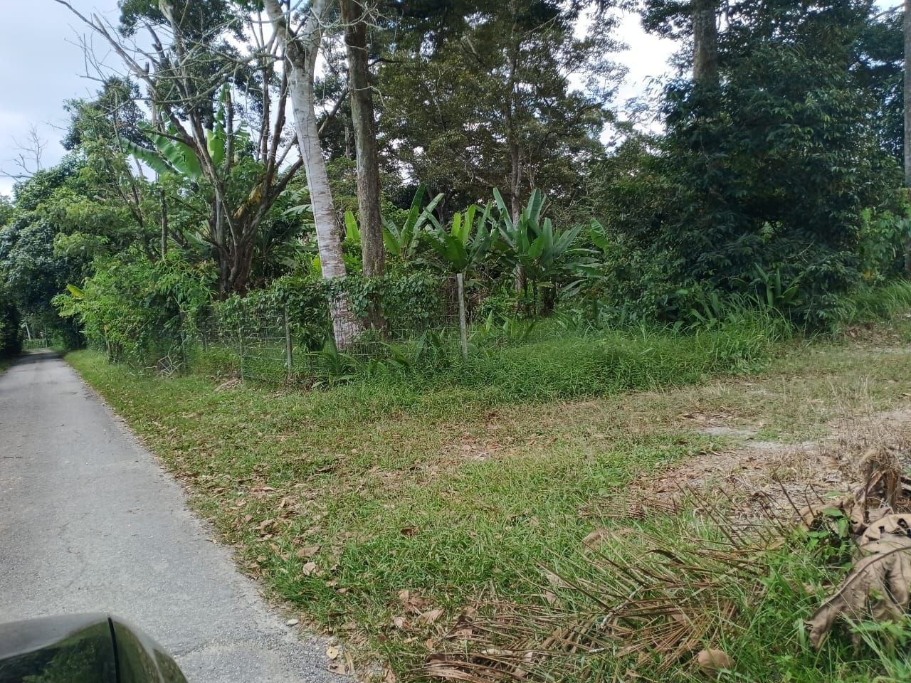 Dusun Untuk Dijual Area Lenggeng Seremban - photo 4