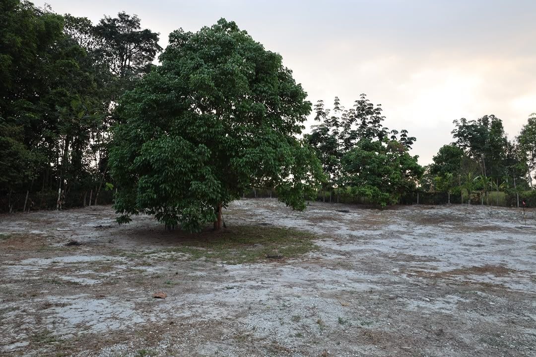 Dusun Untuk Dijual Area Lenggeng Seremban - photo 10