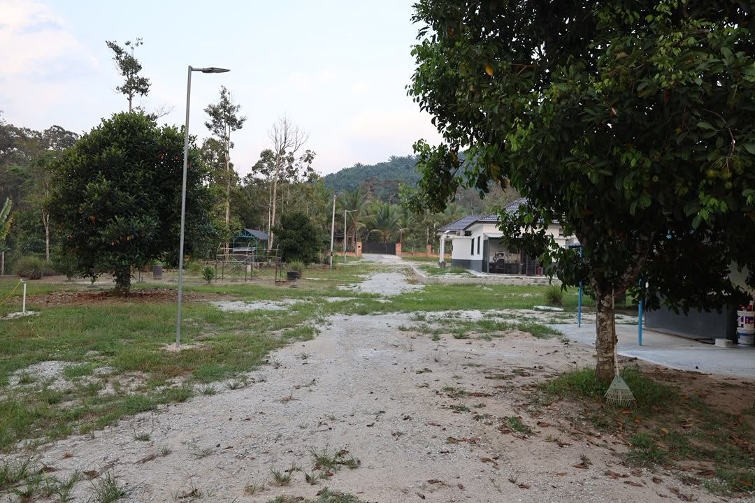 Dusun Untuk Dijual Area Lenggeng Seremban - photo 11