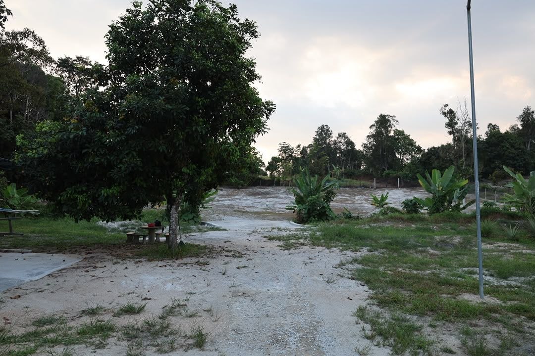 Dusun Untuk Dijual Area Lenggeng Seremban - photo 13
