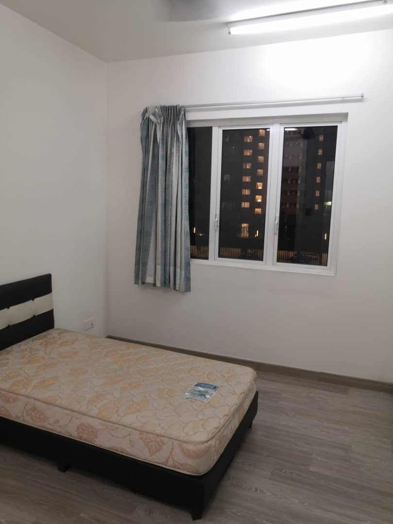 Scenaria North Kiara Hills - photo 5