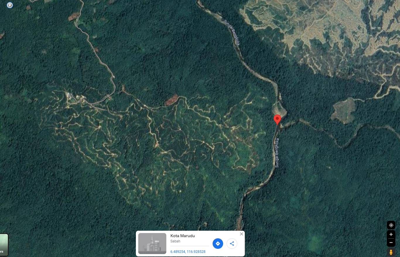 Palm Estate Kelapa Sawit 1000 acre CL Kota Marudu
