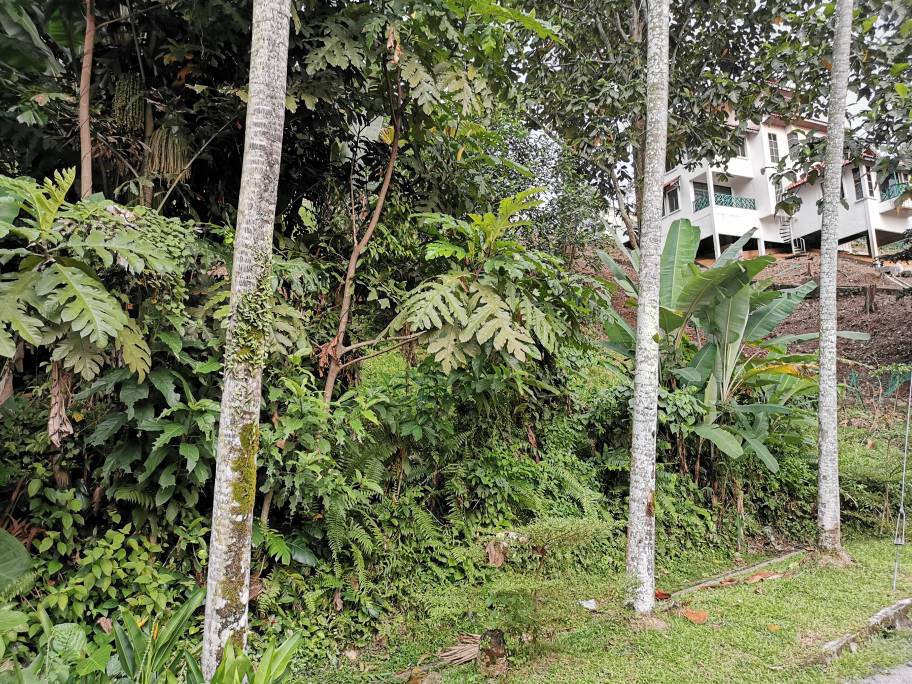 Residential Land For Sale at Taman Melawati Ampang - photo 5