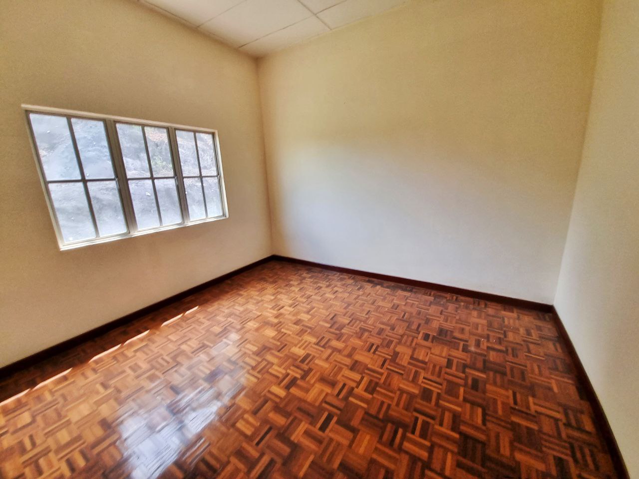 Subang Impian Semi Detached Corner Lot - photo 6