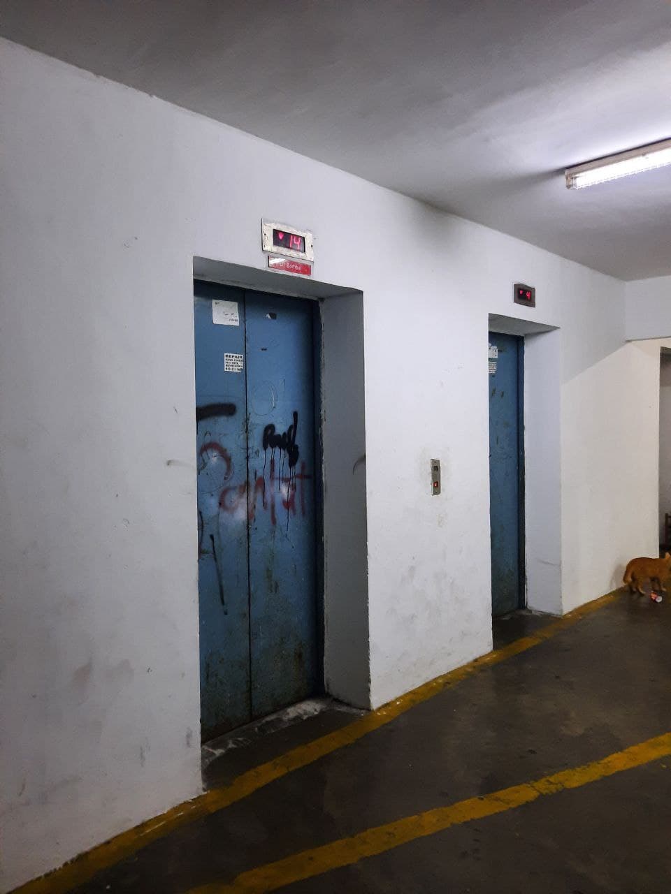BELOW MARKET Apmt Bukit Baru Keramat - photo 6