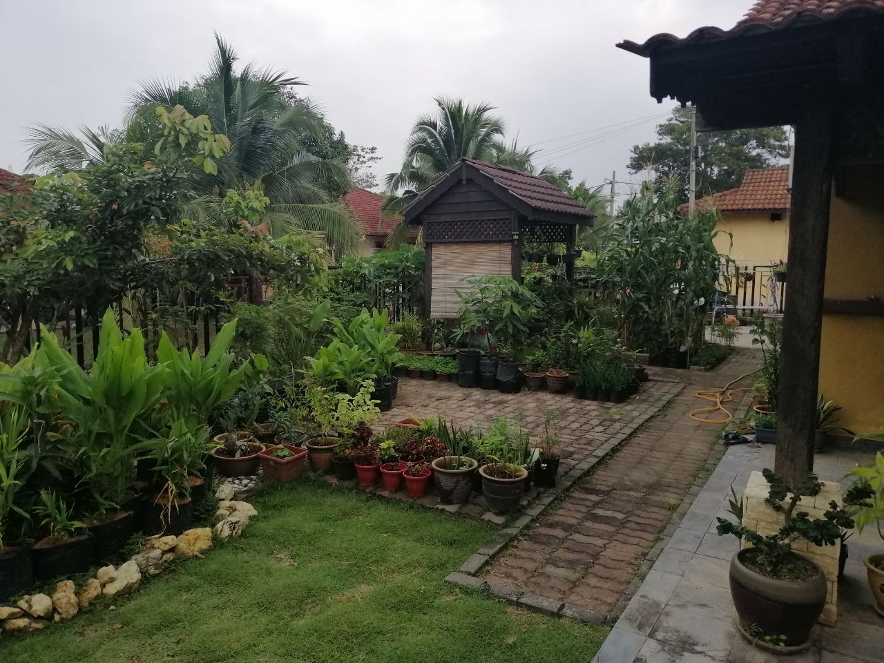 CORNER LOT PINGGIRAN BERINGIN MANTIN - photo 11