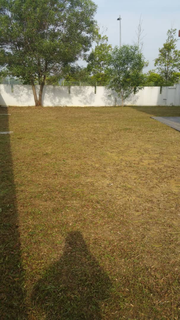 Garinia Elmina Gardens Denai Alam - photo 3