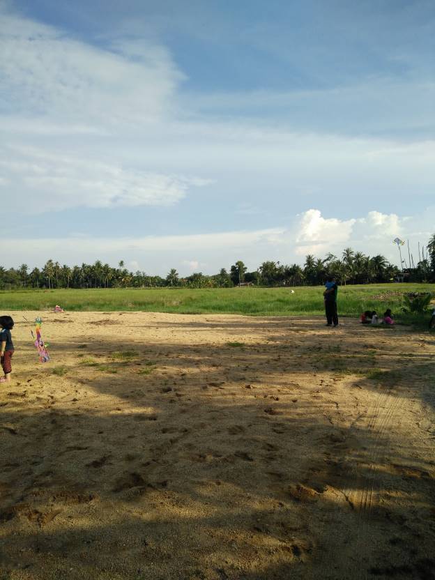 Tanah pertanian - photo 3