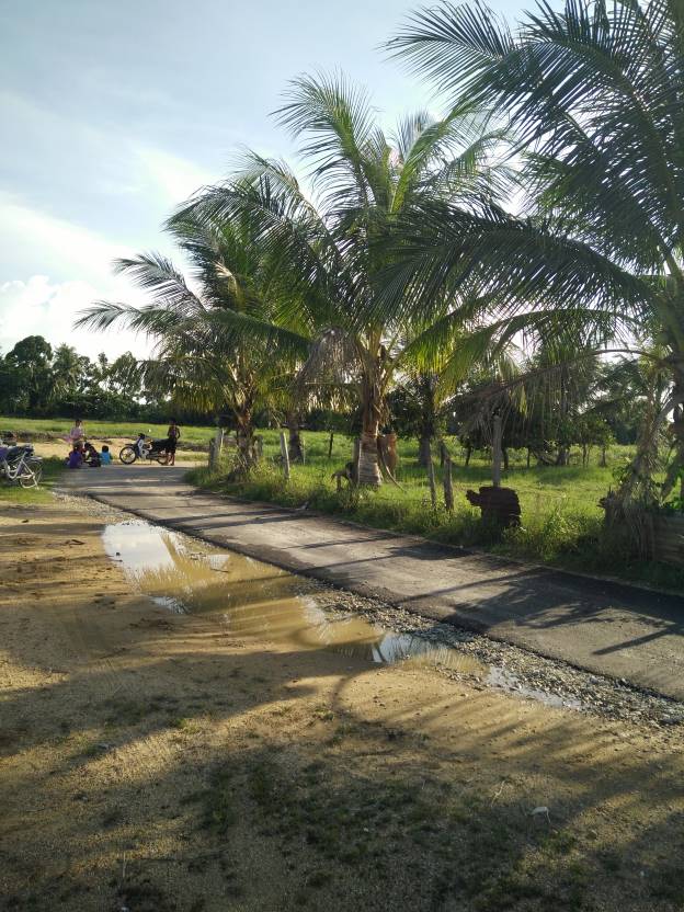 Tanah pertanian - photo 4
