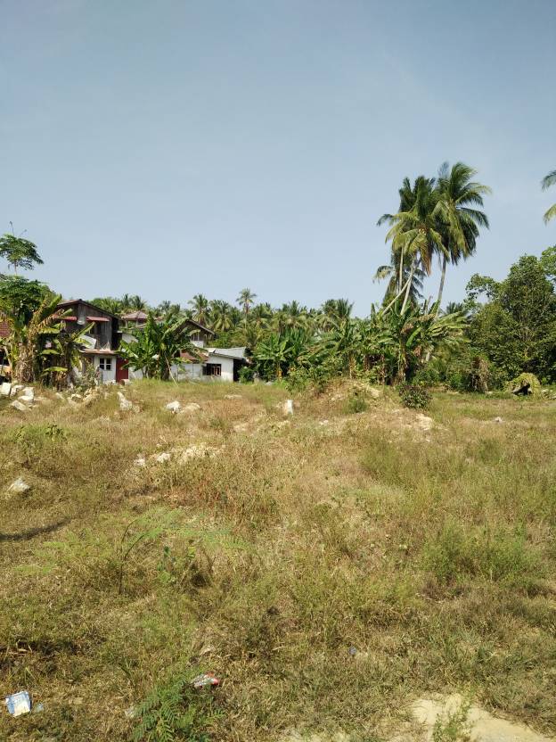 Tanah Padi Kampung Kolam Air Panas, Tokbok