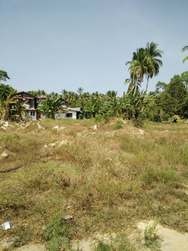 Tanah Padi Kampung Kolam Air Panas, Tokbok - photo 2