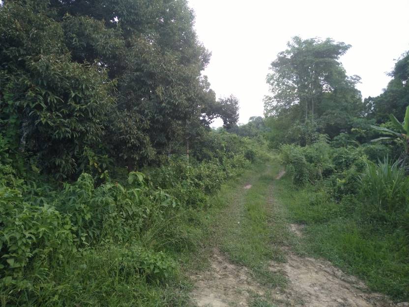TANAH KUARI KUALA NERUS 15KM KE BANDAR TERENGGANU