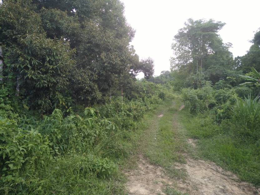 TANAH KUARI KUALA NERUS 15KM KE BANDAR TERENGGANU - photo 2
