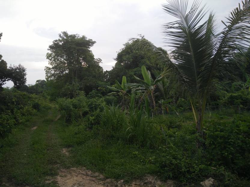 TANAH KUARI KUALA NERUS 15KM KE BANDAR TERENGGANU - photo 4