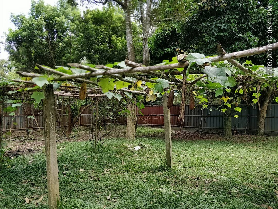 MANTIN DURIAN ORCHARD NEAR TO LEKAS HIGHWAY ACCESS - photo 4
