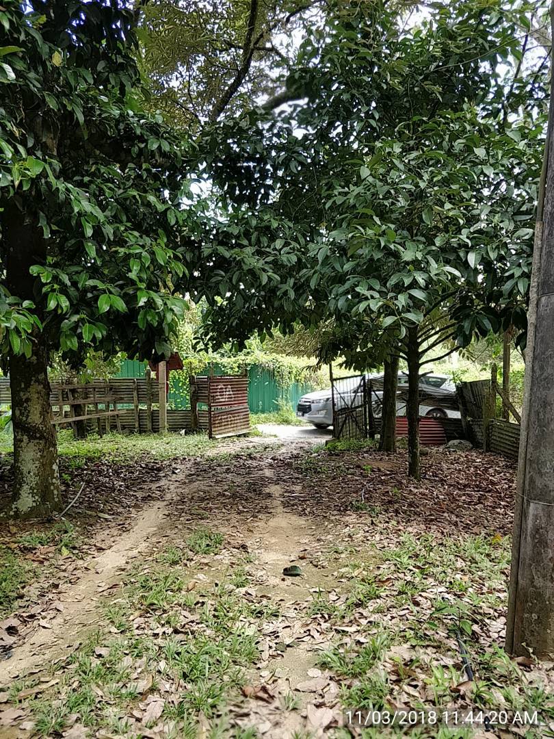 MANTIN DURIAN ORCHARD NEAR TO LEKAS HIGHWAY ACCESS - photo 8