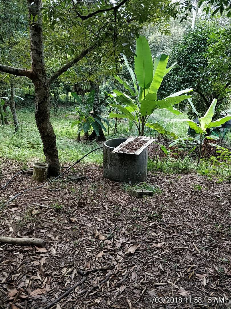 MANTIN DURIAN ORCHARD NEAR TO LEKAS HIGHWAY ACCESS - photo 9