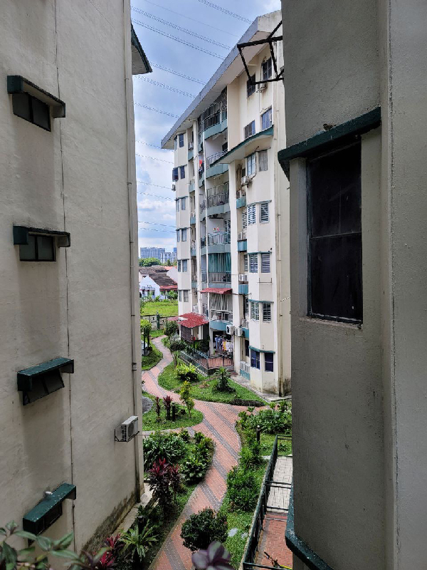 Orchid Court City Garden - photo 8