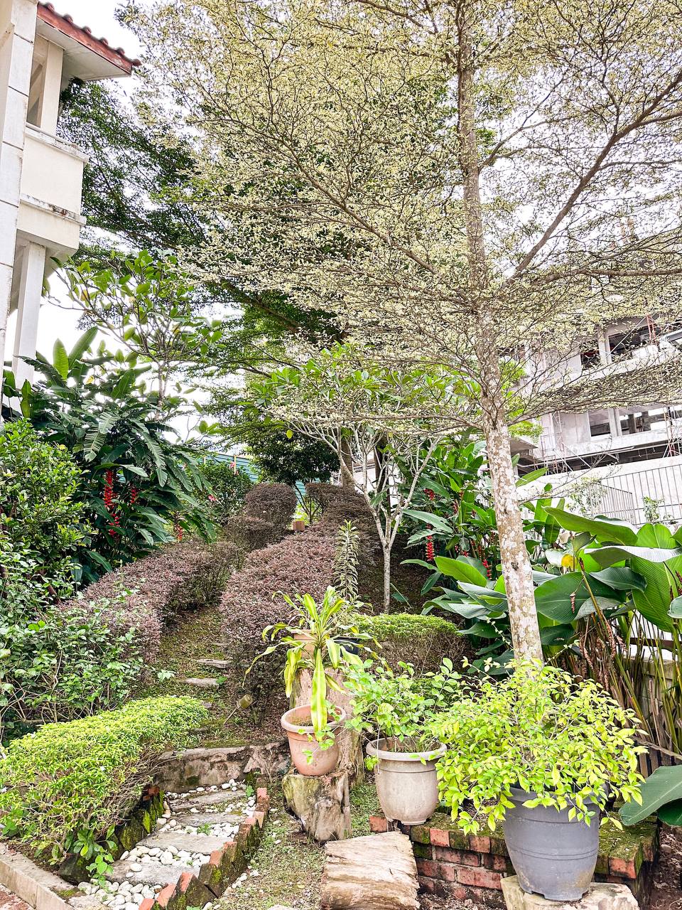RENOVATED 3 AND HALF STY Bkt Wangsamas Wgsa Mju KL - photo 8