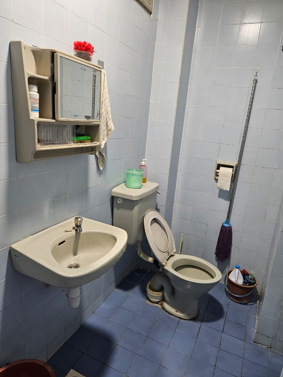 RENOVATED 2 And Half Sty Teres Bukit Antarabangsa - photo 4