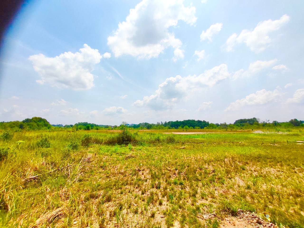 Commercial Land Nilai Impian Negeri Sembilan - photo 3