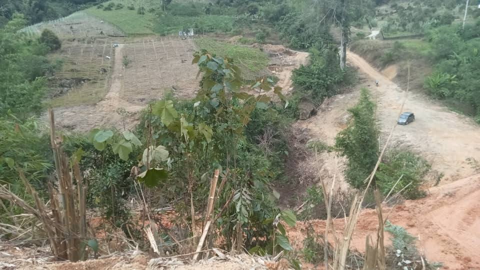Freehold Resort Potential Land Janda Baik Pahang - photo 6