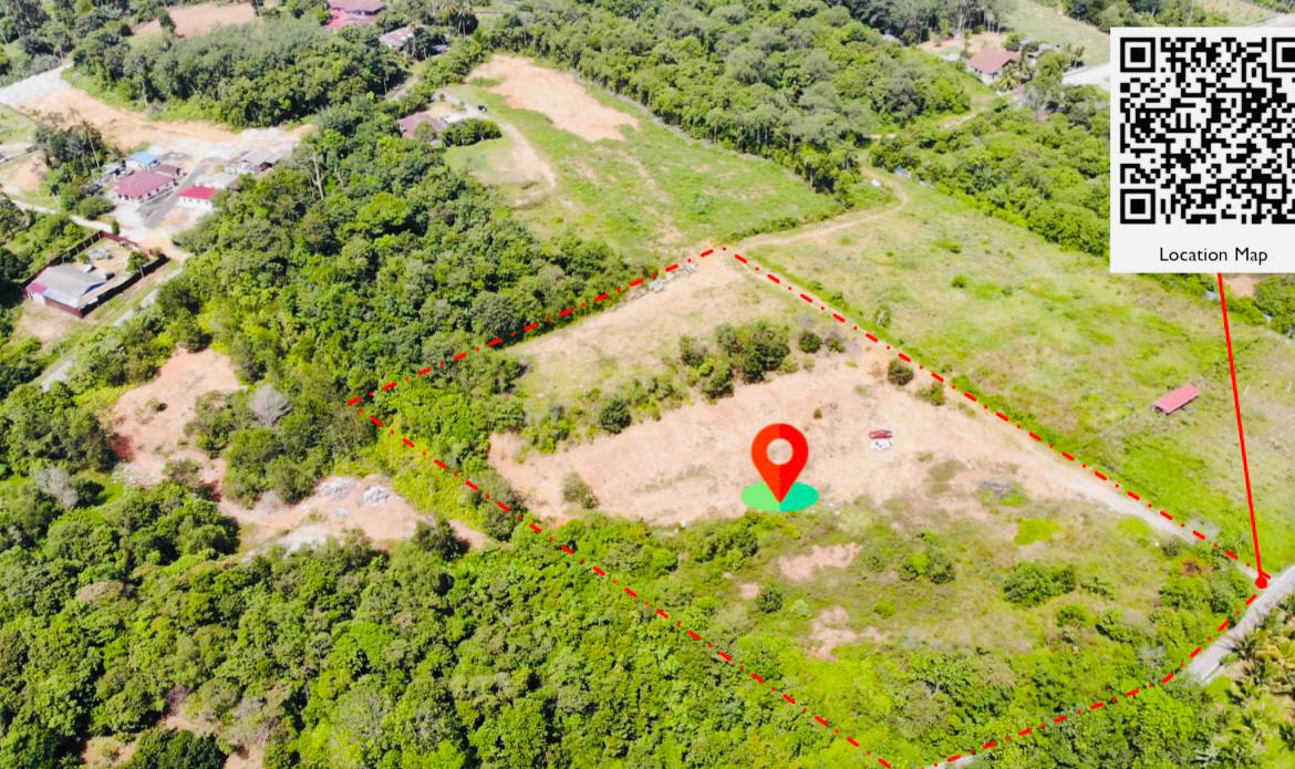 Freehold Agriculture Land Beranang Selangor - photo 3