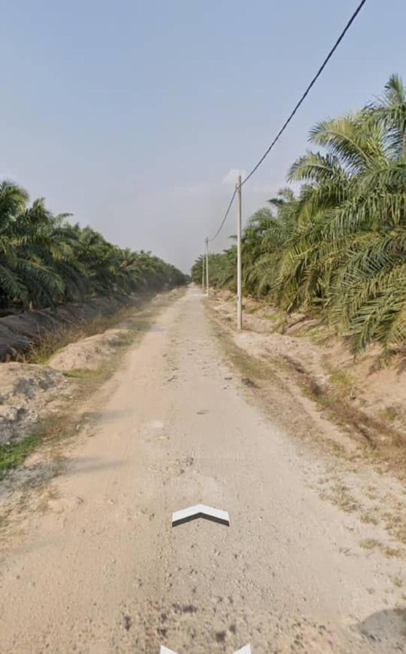 Freehold Argriculture Land Kg Delek Kuala Langat - photo 3