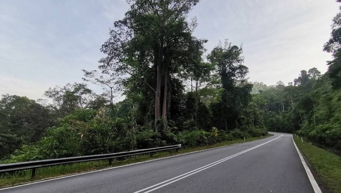 Development Land In Jelebu Negeri Sembilan - photo 2