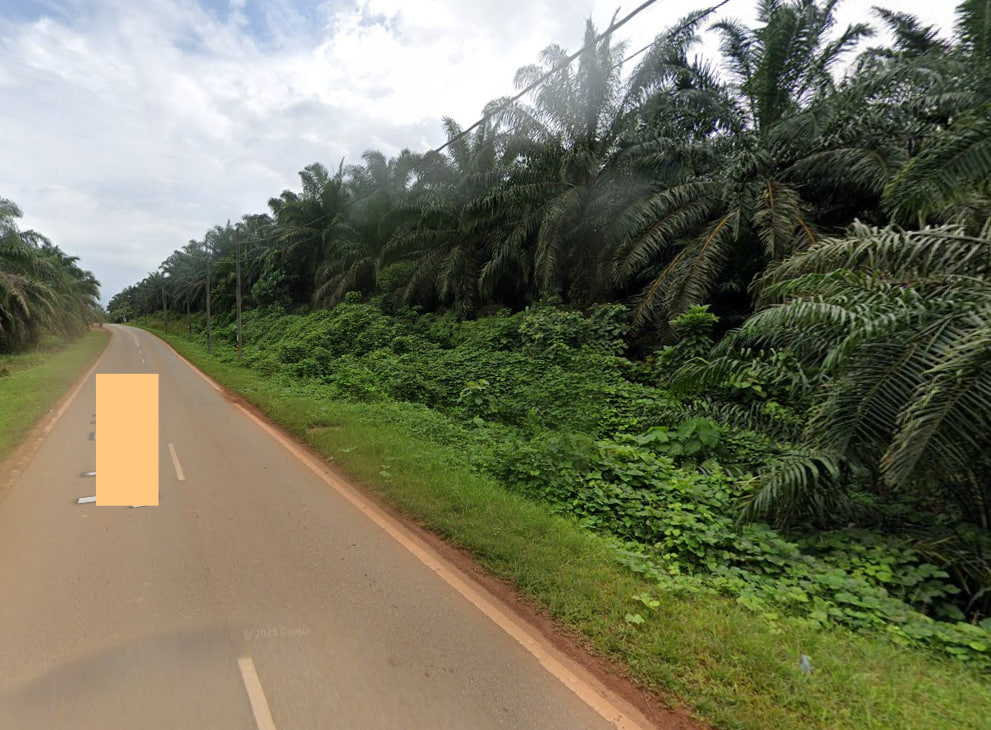 Besides Karak Highway Oil Palm Land Pahang - photo 3