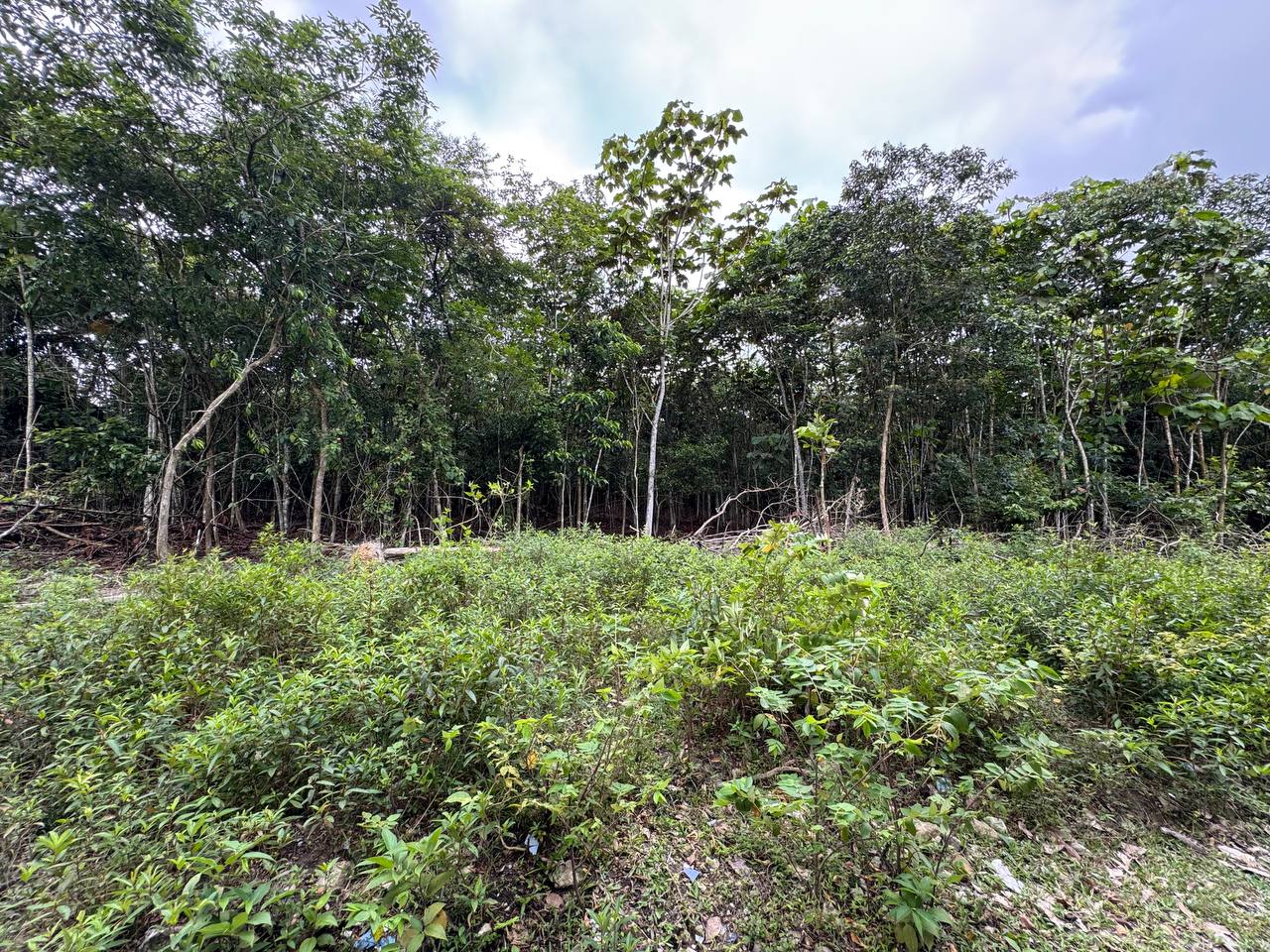 Vacant Land in Kajang for Sale - photo 3