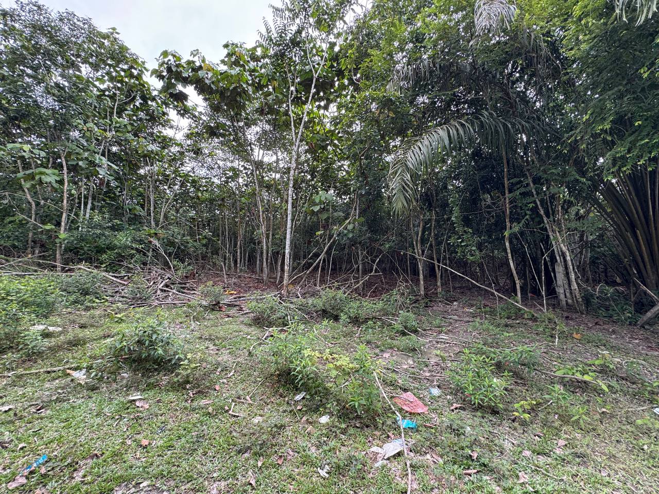 Vacant Land in Kajang for Sale - photo 8