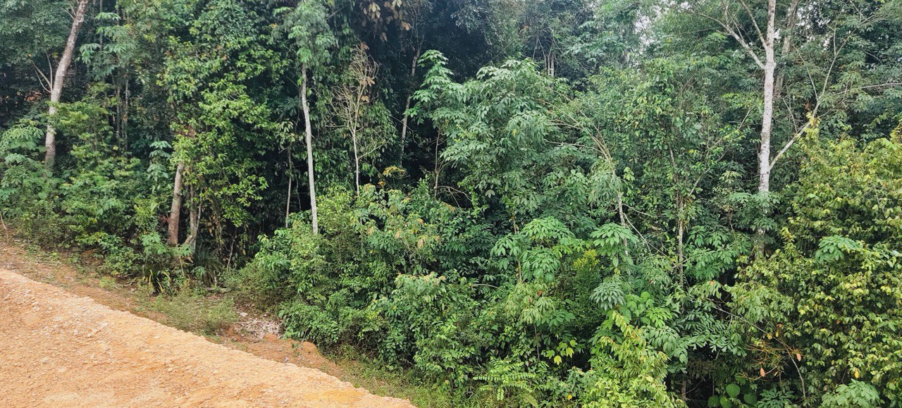 Land for Sale at Mukim Dengkil Sepang - photo 3