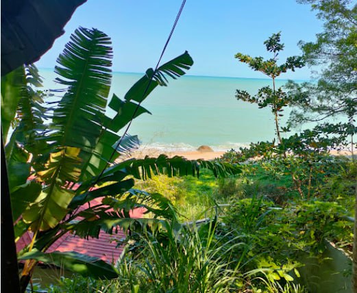 Penang Batu Ferringhi Commercial Land - photo 3