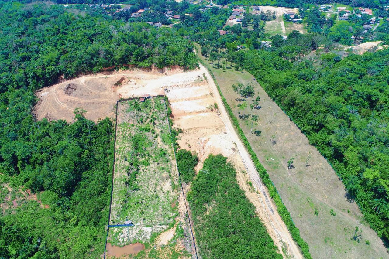 Freehold Residential Land Kampung Sg Buah Dengkil - photo 2