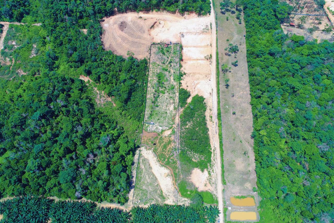 Freehold Residential Land Kampung Sg Buah Dengkil - photo 10