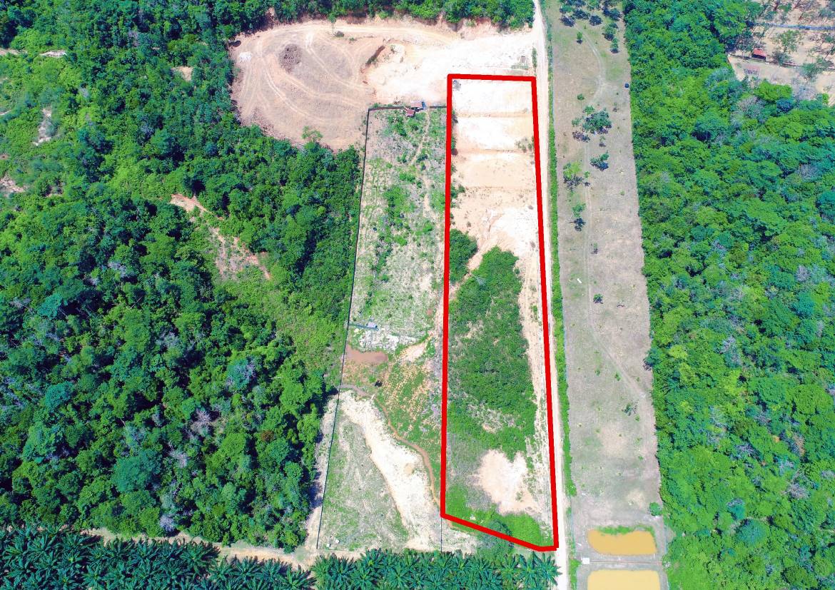 Commercial Land Kampung Sungai Buah Dengkil - photo 3