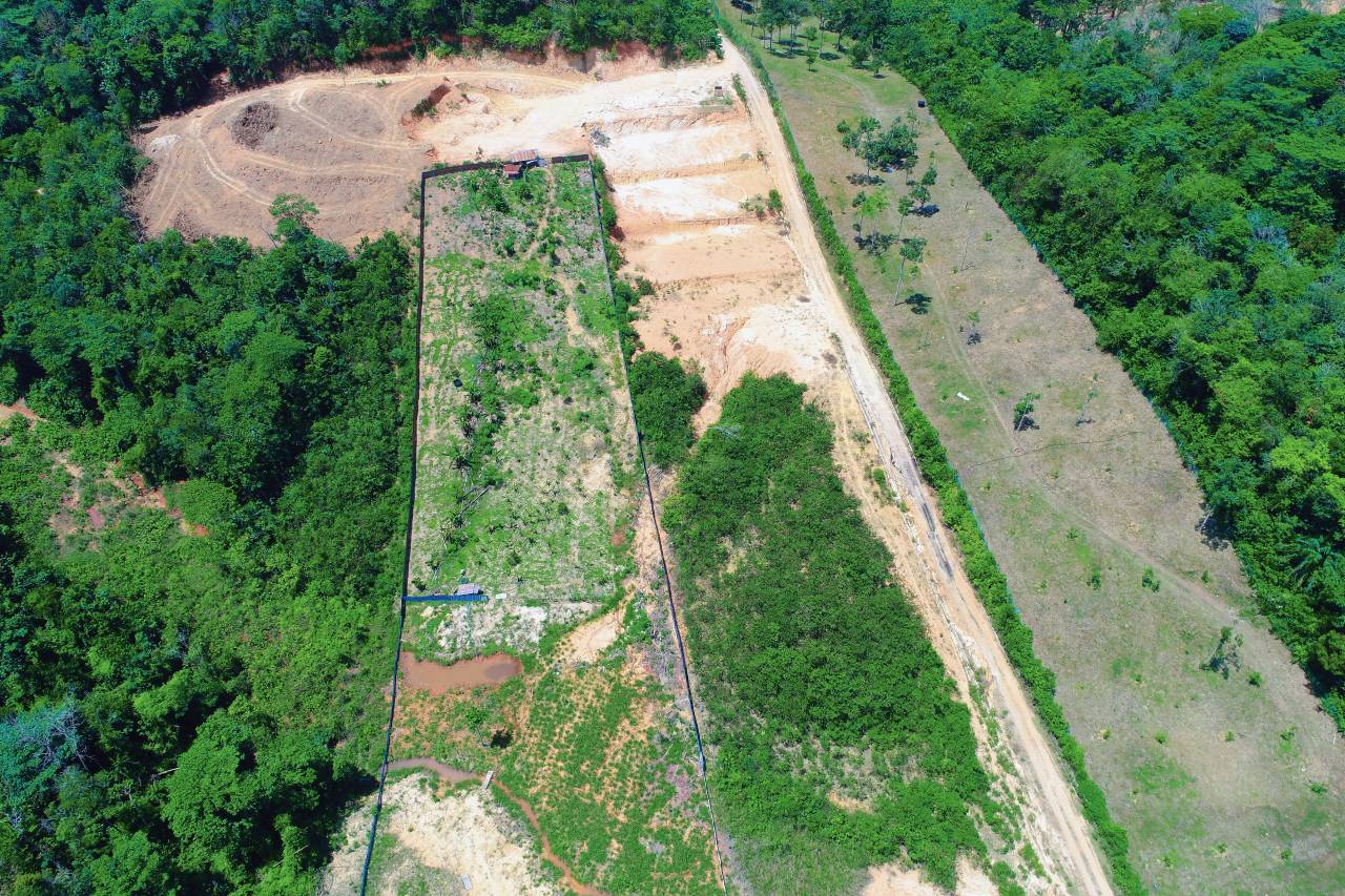 Commercial Land Kampung Sungai Buah Dengkil - photo 4