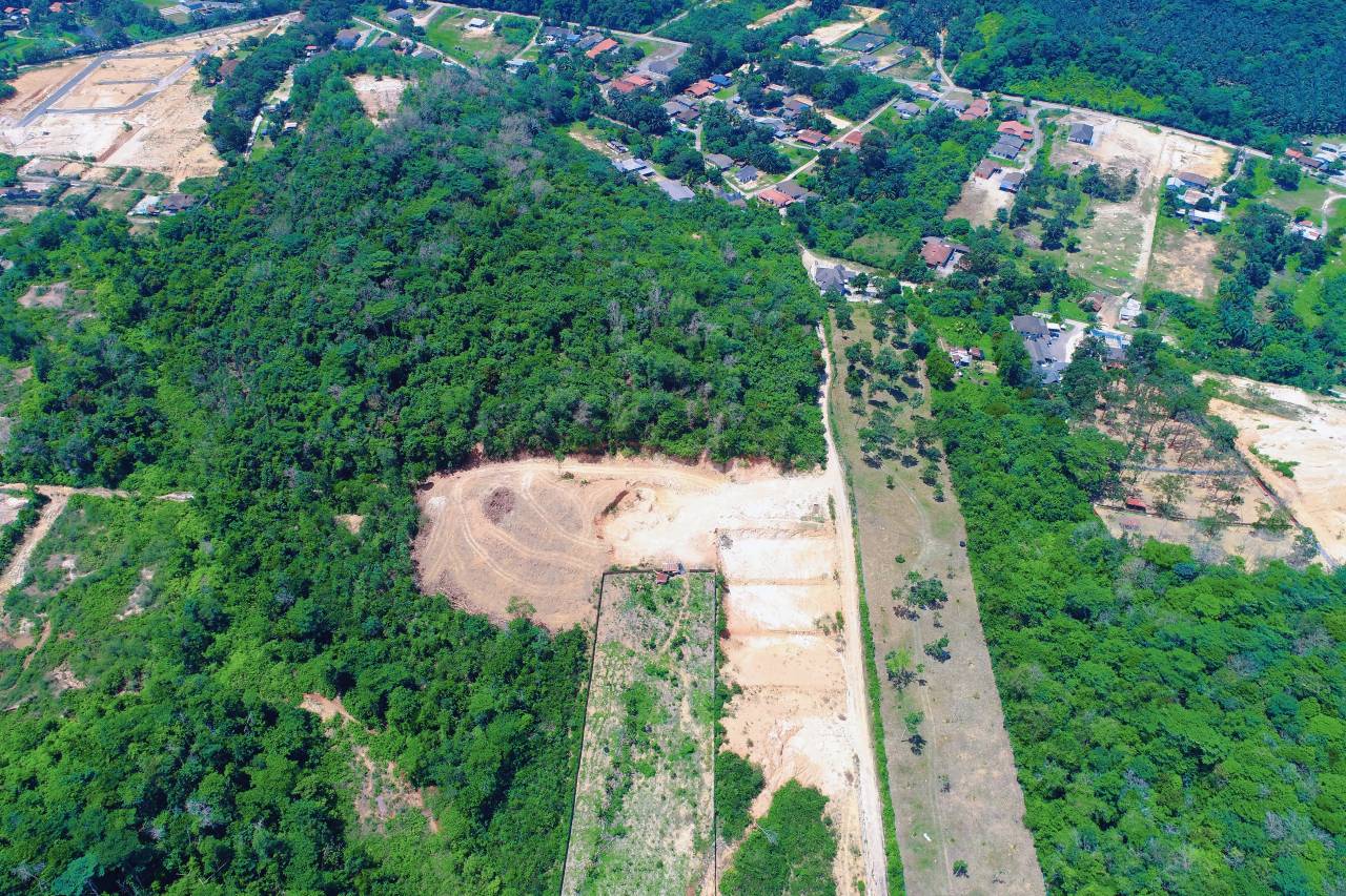 Commercial Land Kampung Sungai Buah Dengkil - photo 10