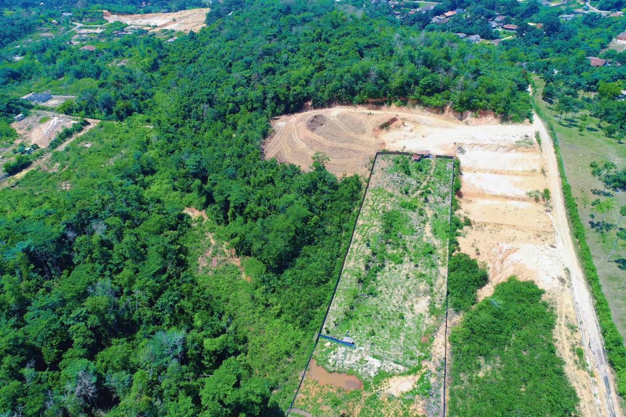 Commercial Land Kampung Sungai Buah Dengkil - photo 11