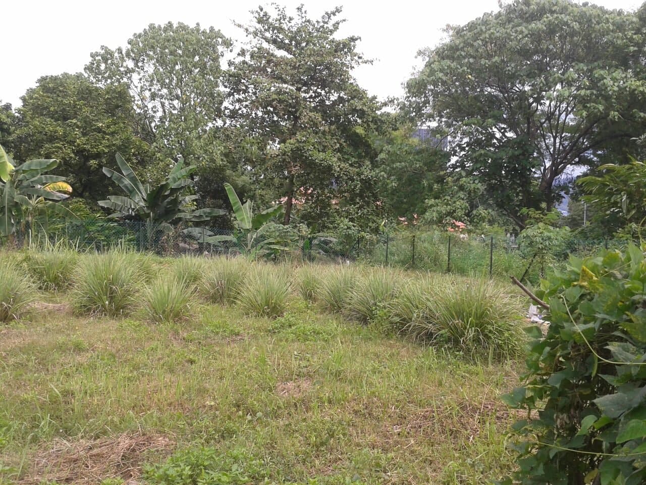 Bungalow Lot Ampang Hilir Kuala Lumpur - photo 3