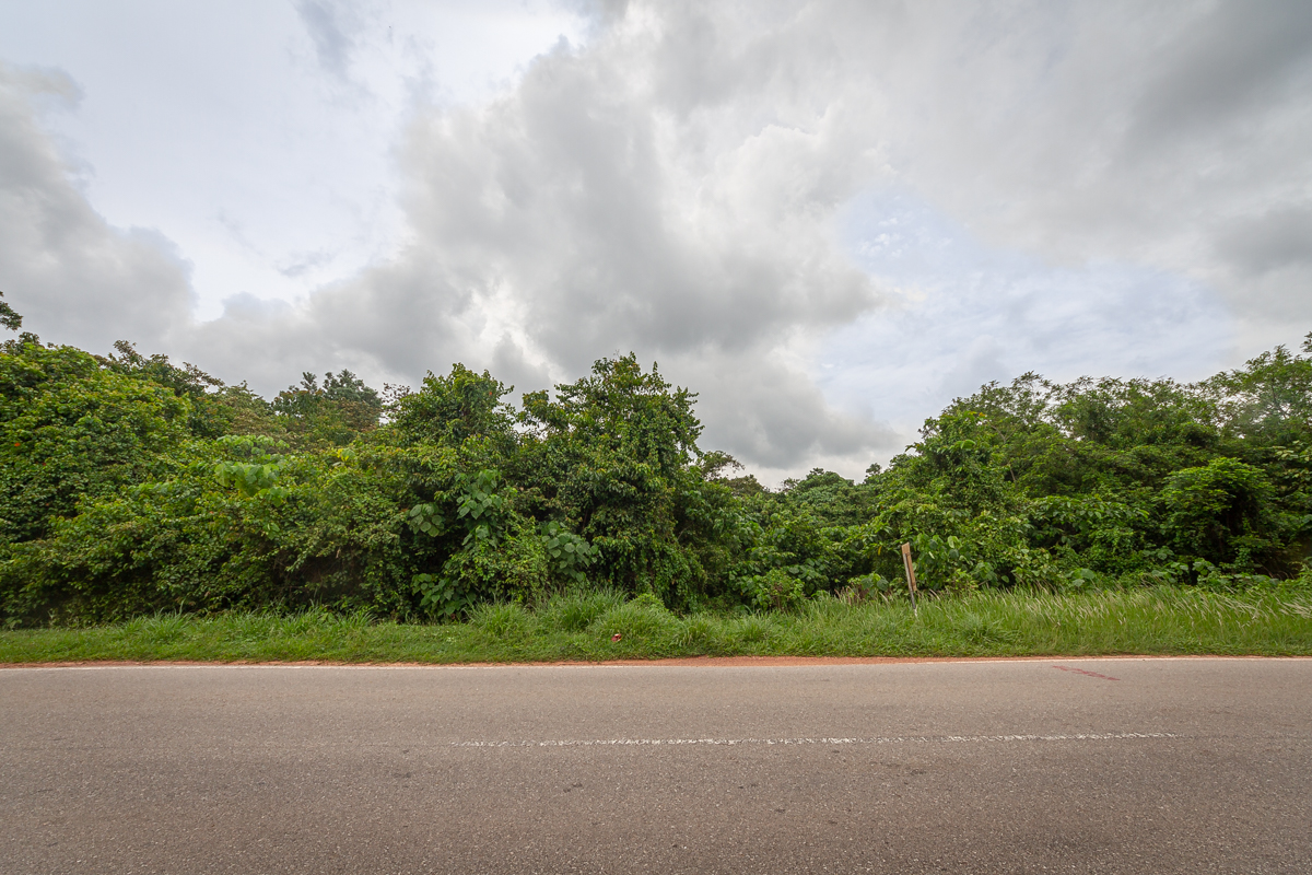 Industrial Land Gemencheh Negeri Sembilan - photo 5