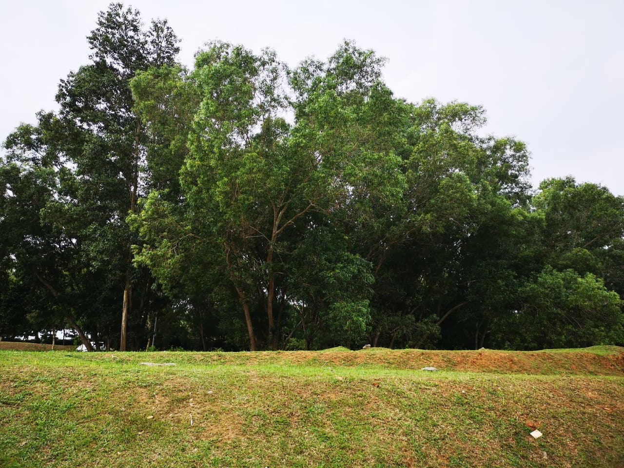 Bungalow Land, Presint 8 Putrajaya - photo 8