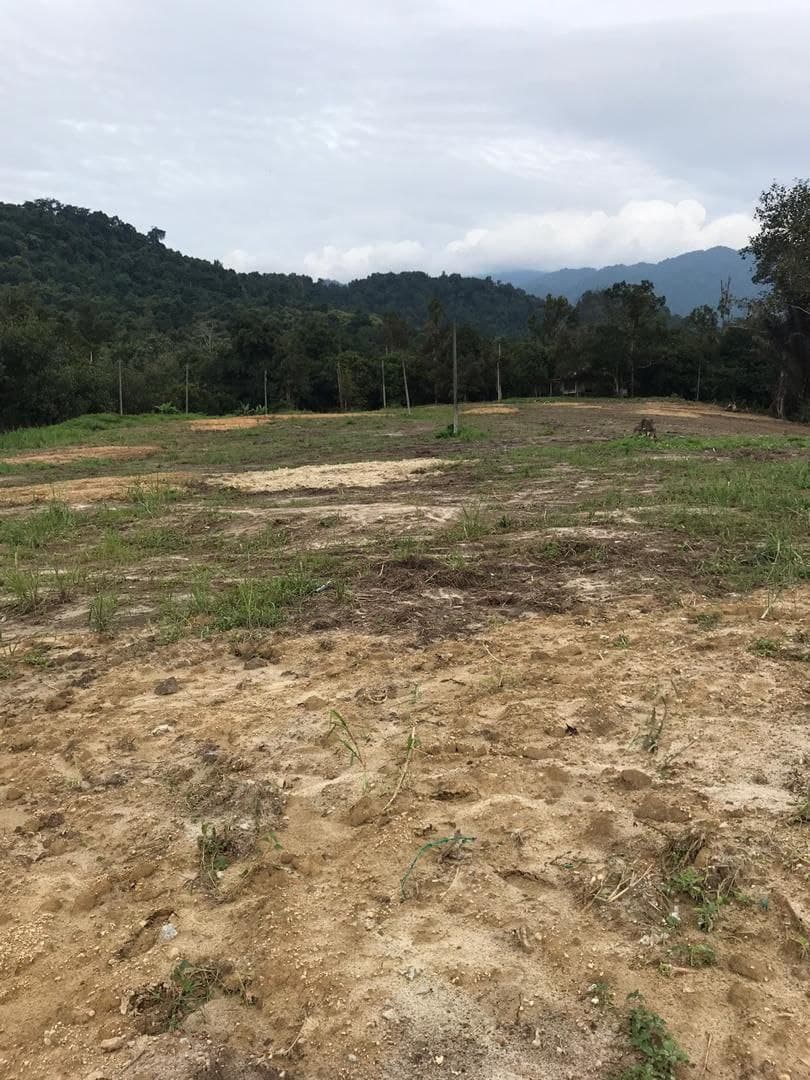 Tanah di Batang Kali, Selangor