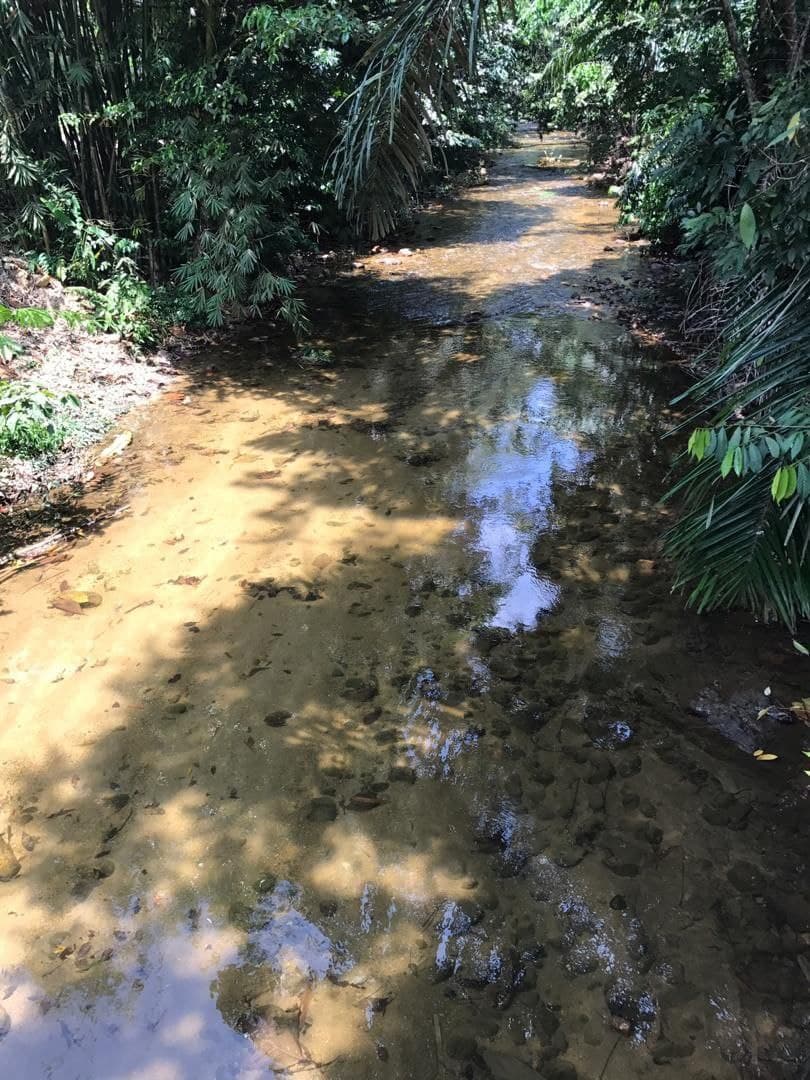 Tanah di Batang Kali, Selangor - photo 3