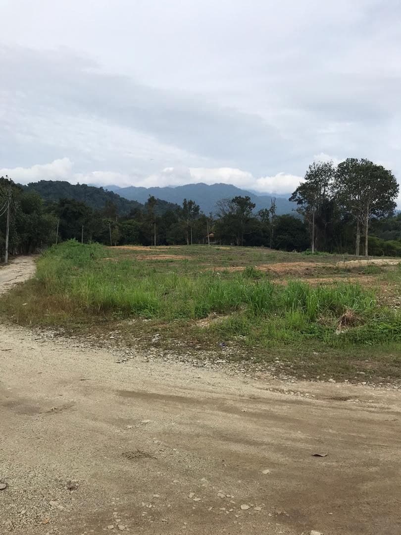 Tanah di Batang Kali, Selangor - photo 4