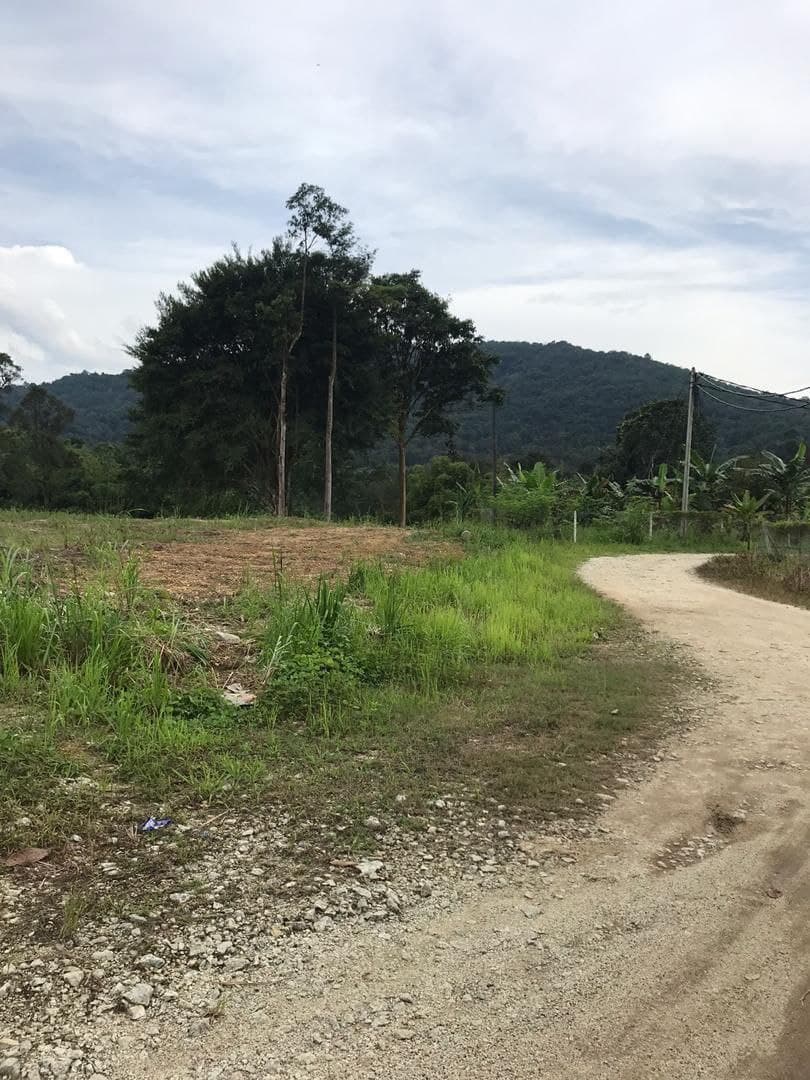 Tanah di Batang Kali, Selangor - photo 5